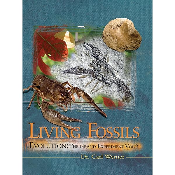 Amazon.com: On the Genesis of Species (Cambridge Library